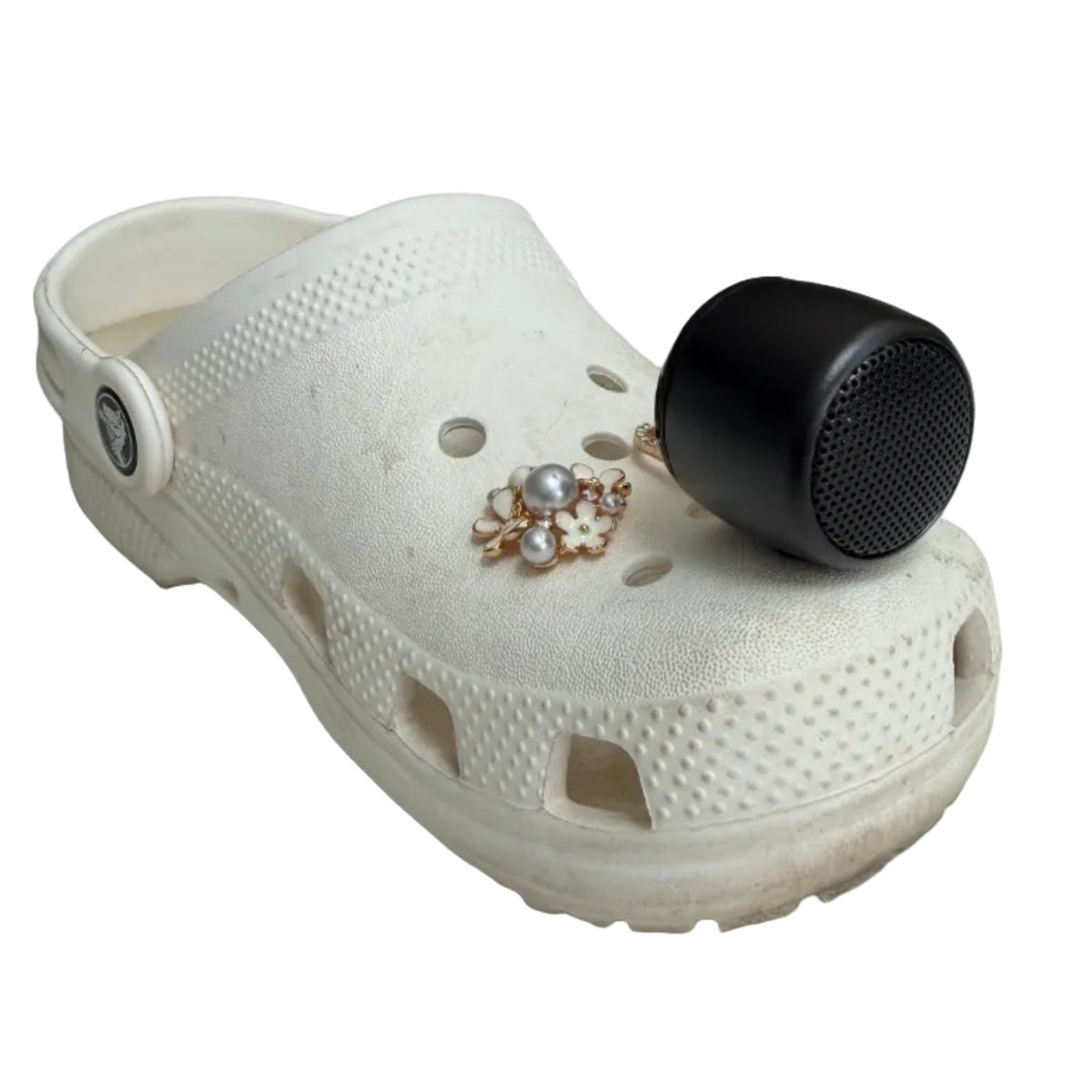 Speaker For Charm Shoe
